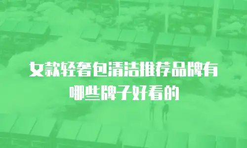 女款轻奢包清洁推荐品牌有哪些牌子好看的