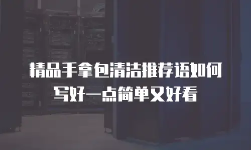 精品手拿包清洁推荐语如何写好一点简单又好看