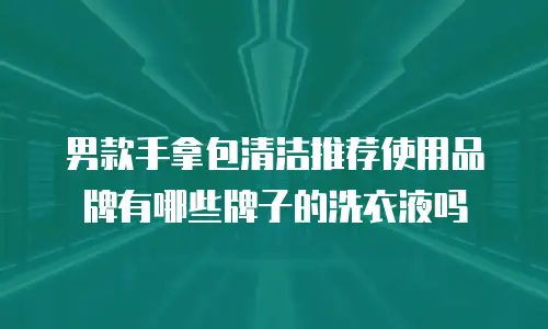男款手拿包清洁推荐使用品牌有哪些牌子的洗衣液吗
