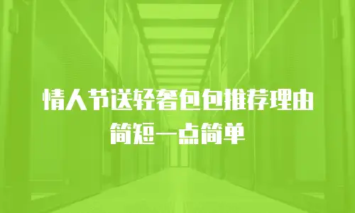 情人节送轻奢包包推荐理由简短一点简单