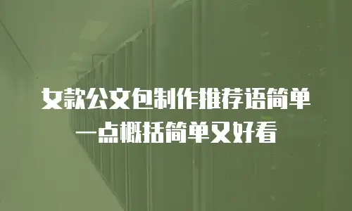 女款公文包制作推荐语简单一点概括简单又好看