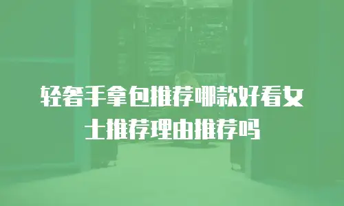 轻奢手拿包推荐哪款好看女士推荐理由推荐吗