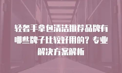 轻奢手拿包清洁推荐品牌有哪些牌子比较好用的？专业解决方案解析