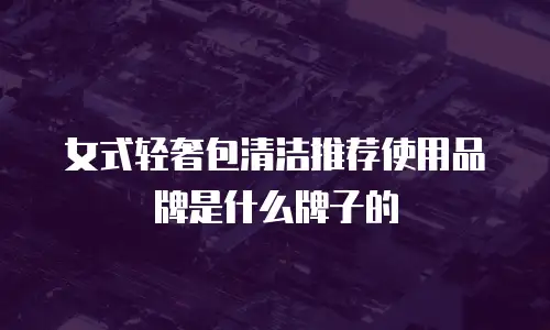 女式轻奢包清洁推荐使用品牌是什么牌子的