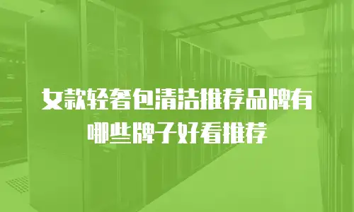女款轻奢包清洁推荐品牌有哪些牌子好看推荐