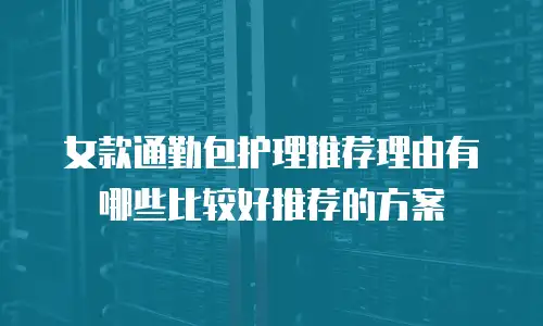女款通勤包护理推荐理由有哪些比较好推荐的方案