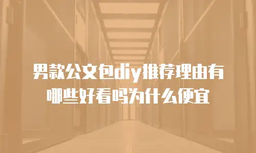 男款公文包diy推荐理由有哪些好看吗为什么便宜