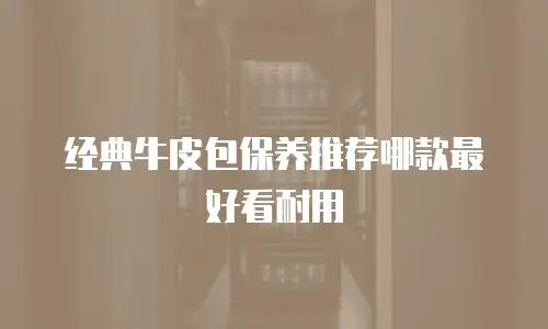 经典牛皮包保养推荐哪款最好看耐用