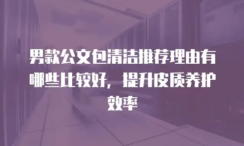 男款公文包清洁推荐理由有哪些比较好，提升皮质养护效率