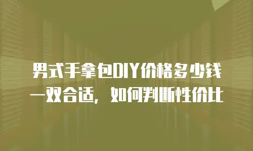 男式手拿包DIY价格多少钱一双合适，如何判断性价比