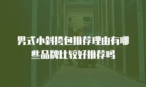 男式小斜挎包推荐理由有哪些品牌比较好推荐吗