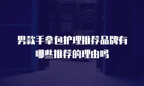 男款手拿包护理推荐品牌有哪些推荐的理由吗