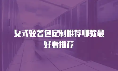 女式轻奢包定制推荐哪款最好看推荐