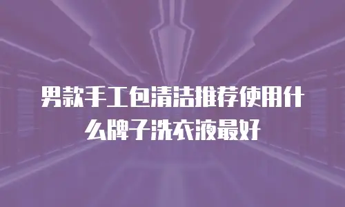 男款手工包清洁推荐使用什么牌子洗衣液最好