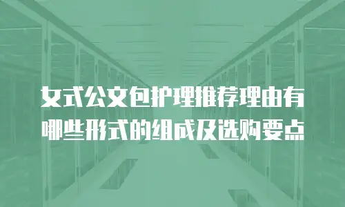 女式公文包护理推荐理由有哪些形式的组成及选购要点