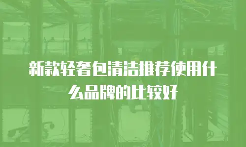 新款轻奢包清洁推荐使用什么品牌的比较好