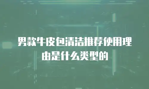 男款牛皮包清洁推荐使用理由是什么类型的