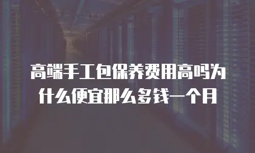 高端手工包保养费用高吗为什么便宜那么多钱一个月