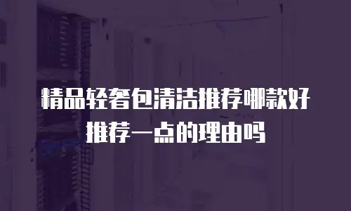 精品轻奢包清洁推荐哪款好推荐一点的理由吗