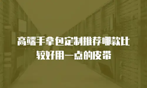 高端手拿包定制推荐哪款比较好用一点的皮带