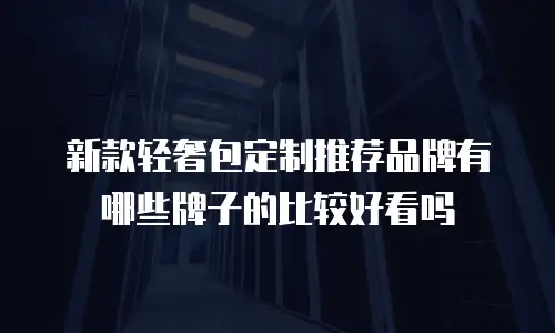 新款轻奢包定制推荐品牌有哪些牌子的比较好看吗