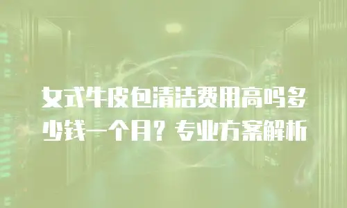女式牛皮包清洁费用高吗多少钱一个月？专业方案解析