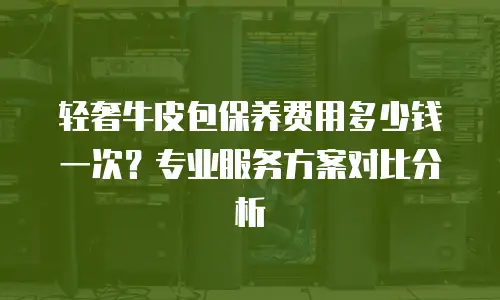 轻奢牛皮包保养费用多少钱一次？专业服务方案对比分析