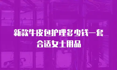 新款牛皮包护理多少钱一套合适女士用品