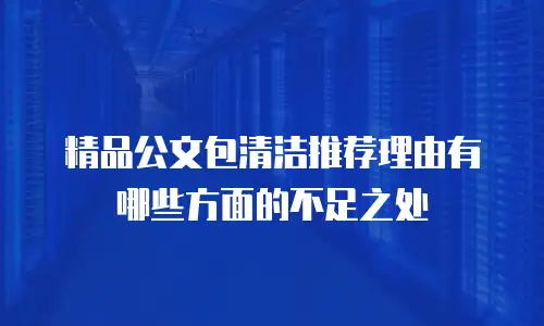 精品公文包清洁推荐理由有哪些方面的不足之处