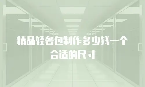 精品轻奢包制作多少钱一个合适的尺寸
