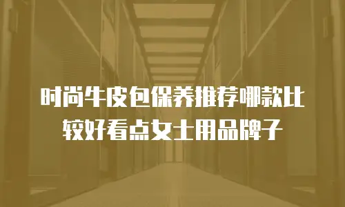 时尚牛皮包保养推荐哪款比较好看点女士用品牌子