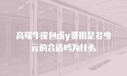 高端牛皮包diy费用是多少元的合适吗为什么