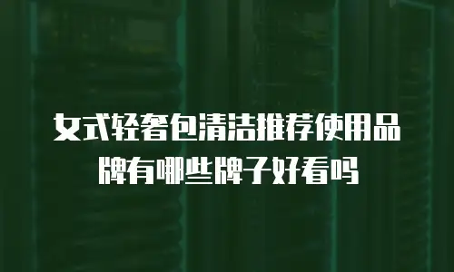 女式轻奢包清洁推荐使用品牌有哪些牌子好看吗