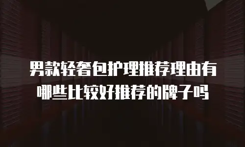 男款轻奢包护理推荐理由有哪些比较好推荐的牌子吗