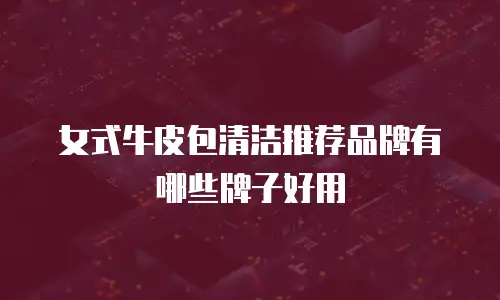 女式牛皮包清洁推荐品牌有哪些牌子好用