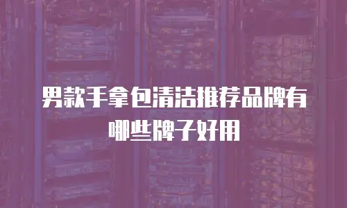 男款手拿包清洁推荐品牌有哪些牌子好用
