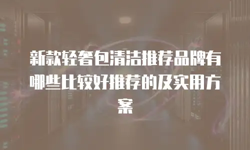 新款轻奢包清洁推荐品牌有哪些比较好推荐的及实用方案