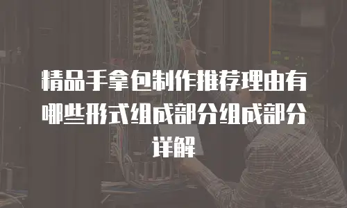 精品手拿包制作推荐理由有哪些形式组成部分组成部分详解