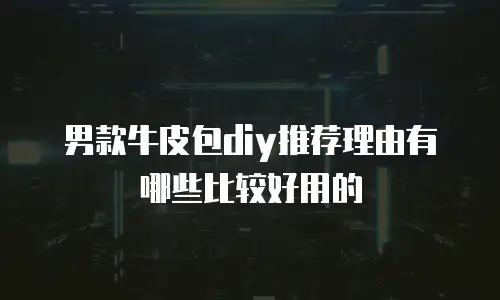 男款牛皮包diy推荐理由有哪些比较好用的