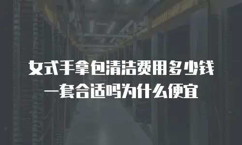 女式手拿包清洁费用多少钱一套合适吗为什么便宜