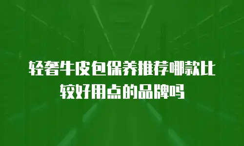 轻奢牛皮包保养推荐哪款比较好用点的品牌吗