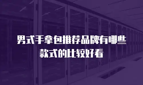 男式手拿包推荐品牌有哪些款式的比较好看