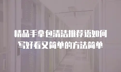 精品手拿包清洁推荐语如何写好看又简单的方法简单