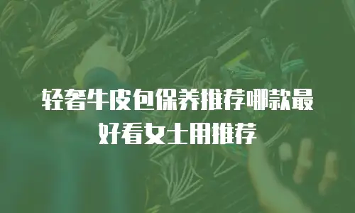 轻奢牛皮包保养推荐哪款最好看女士用推荐