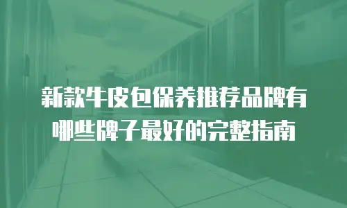 新款牛皮包保养推荐品牌有哪些牌子最好的完整指南