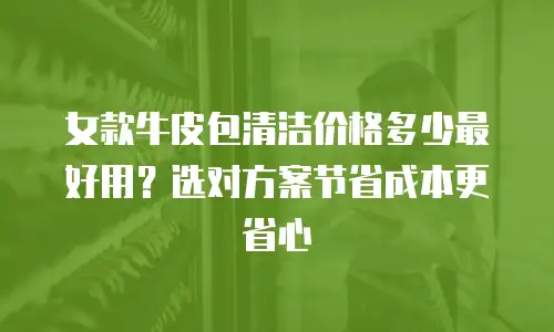 女款牛皮包清洁价格多少最好用？选对方案节省成本更省心