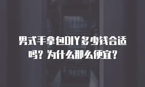男式手拿包DIY多少钱合适吗？为什么那么便宜？