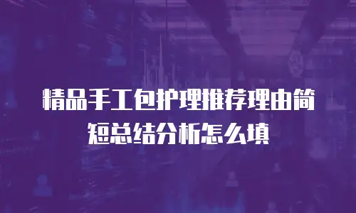 精品手工包护理推荐理由简短总结分析怎么填