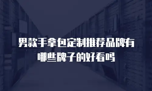 男款手拿包定制推荐品牌有哪些牌子的好看吗
