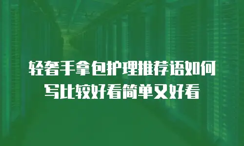 轻奢手拿包护理推荐语如何写比较好看简单又好看